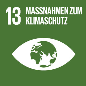 Das BIM-Modell auf dem Weg zur Kreislaufwirtschaft SDG icon DE 13 RIB IMS